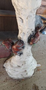 lot 361 image: Pottery squirrel stand 22.5 for bird bath or gazing ball