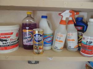 lot 421 image: Used bucket of  fabulosa cleaner, Clorox bleach, 2 spray bottles and powder cleaner