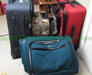 lot 257 image: Canvas suitcases