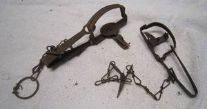 lot 649 image: 2 Small Animal Traps