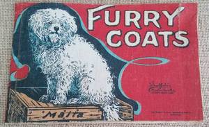 lot 33 image: NICE FIND ANTIQUE 1909 FURRY COATS CLOTH ILLUSTRATED BOOK