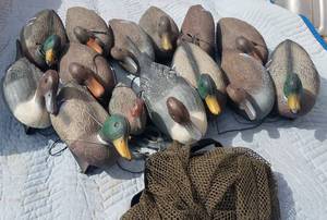 lot 241 image: LOT OF 14 DUCK DECOYS WITH STORAGE NET