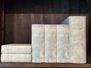 lot 45 image: Storage Book Boxes