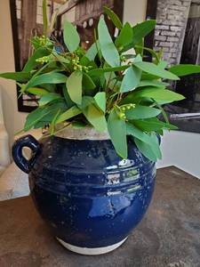 lot 57 image: Blue Terracotta Pot with Faux Greenery