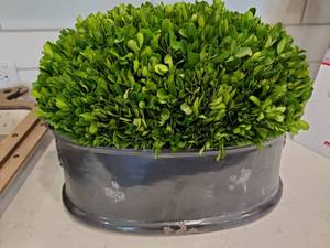 lot 72 image: Faux Greenery in Blue Ceramic Container