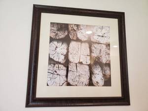 lot 106 image: Framed with Glass Photo Print Kukos