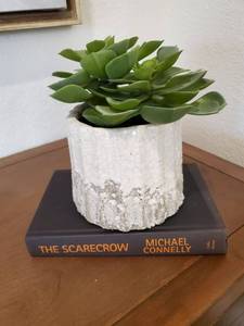 lot 144 image: Faux Succulent in White Glazed Terracotta Container & Book