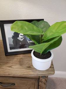 lot 172 image: Faux Plant in White Pot & Picture Frame