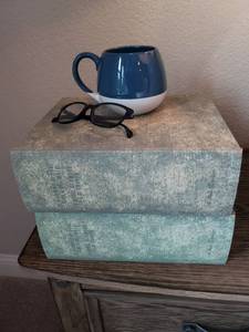 lot 173 image: 2 Book Storage Boxes, Mug & Reader Glasses