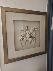 lot 210 image: Wall Shadowbox with Decorative Cotton