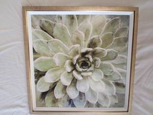 lot 229 image: Framed Print on Board - Succulent