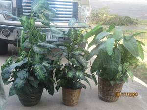 lot 195 image: TOTAL OF 3 ARTIFICAL GREEN LEAF PLANTS&nbsp&nbsp3FT - 4FT TALL