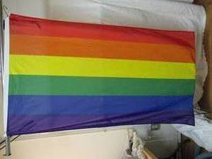 lot 46 image: 3x5 Foot-Rainbow Flag, 6-Stripes