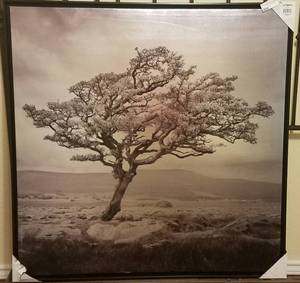 lot 76 image: LARGE SIZE WALL FRAMED PRINT (NEW) (36.5 W x 36.5 H)