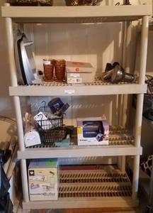 lot 245 image: 4-TIER PLASTIC SHELF (DELAYED PICK UP - AFTER 300 PM)