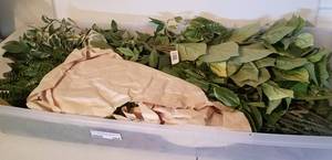 lot 264 image: LOT OF ASSORTED FLORAL BUNDLES