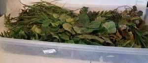 lot 265 image: LOT OF ASSORTED FLORAL BUNDLES