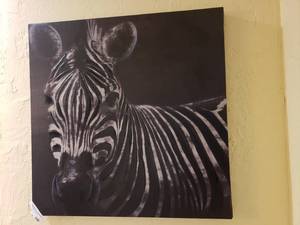 lot 346 image: WALL ZEBRA THEMED FRAME (23.5 x 23.5)