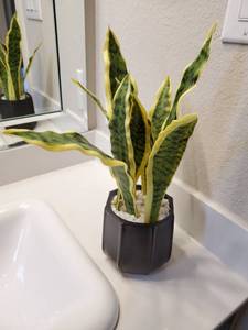 lot 17 image: Faux Plant in Black Ceramic Planter