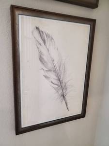 lot 20 image: Feather Print Framed with Glass