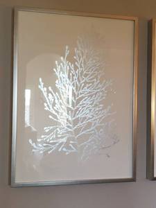 lot 32 image: Silver BranchCoral on Paper Framed with Glass