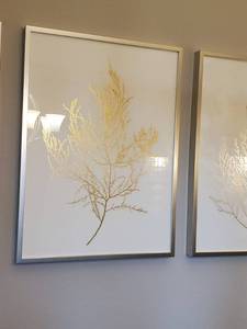 lot 33 image: Gold BranchCoral on Paper Framed with Glass