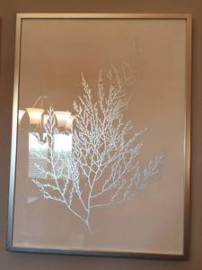 lot 34 image: Silver BranchCoral on Paper Framed with Glass