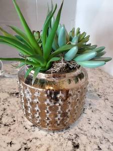 lot 48 image: Faux Succulents in Metallic Vase