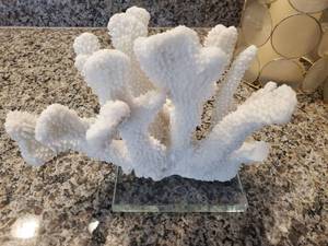 lot 78 image: Coral Specimen on Acrylic Block