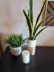 lot 144 image: Faux Plants & Glass Candle Holder