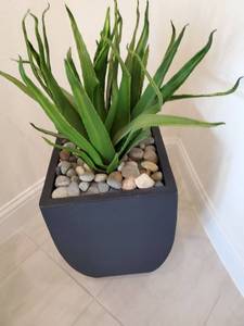 lot 71 image: Faux Plant in Plastic Container with Rocks