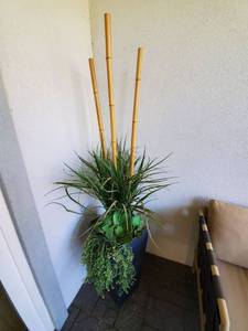 lot 119 image: Faux Plants with Bamboo in Black Plastic Container
