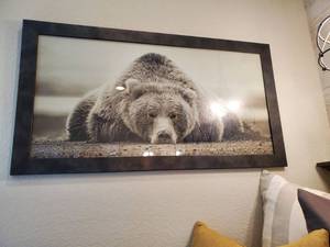 lot 145 image: Bear Photo Print - Framed with Glass