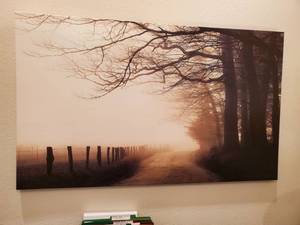 lot 216 image: Photo Print on Canvas
