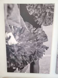 lot 71 image: Black & White Cheerleader Print on Canvas