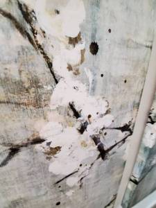 lot 97 image: Cherry Blossom Giclee on Canvas Blooming I