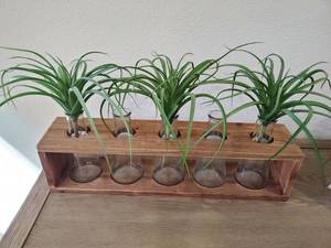 lot 4 image: Wooden Tray with 5 Glass Vases