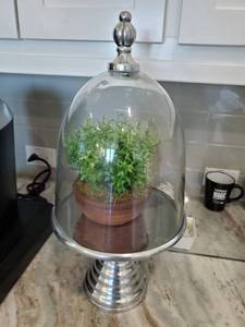 lot 173 image: Glass Cloche on Metal Stand & Faux Greenery