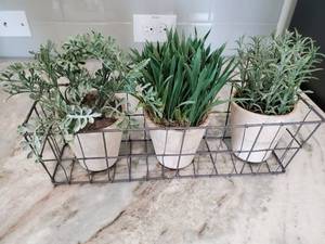 lot 190 image: Faux Greenery Trio in Metal Wire Basket
