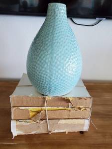 lot 141 image: Aqua Vase & Books for Decor