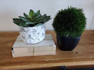lot 144 image: Faux Greenery & Books for Decor