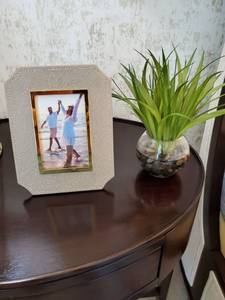 lot 17 image: Frame & Faux Plant