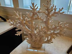 lot 26 image: Faux Coral on Acrylic Stand