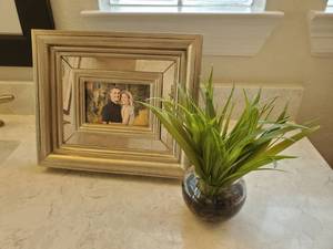lot 27 image: Large Frame & Faux Plant