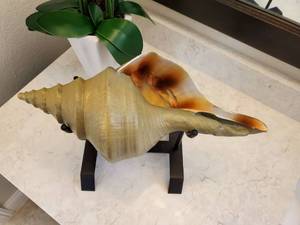 lot 30 image: Resin Shell on Metal Stand