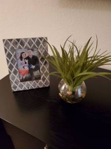 lot 76 image: Frame & Faux Plant