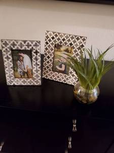 lot 82 image: Frames & Succulent