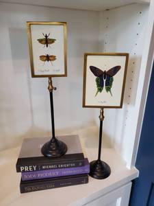 lot 164 image: Pair of Frames on Adjustable Stands by Twos Company