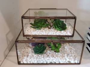 lot 172 image: Pair of Glass & Metal Boxes with Faux Succulents