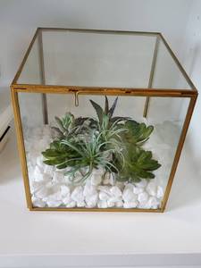 lot 175 image: Glass Box with Faux Succulents